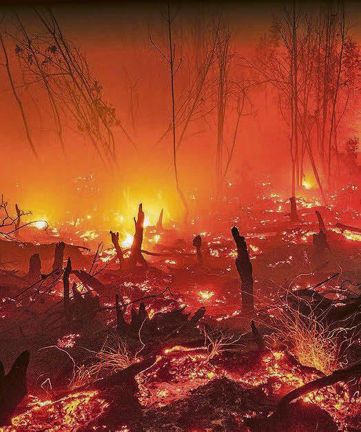 Is Paris climate accord having a heat impact?