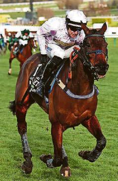 GOLDEN'S FIGHTING FIT