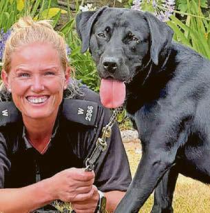 Rescue lab Dexter born to fight crime