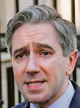Tanaiste is 'going down the Farage route'