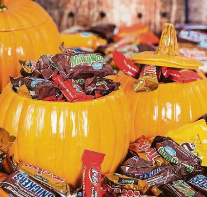 Take due scare to cut back on food waste