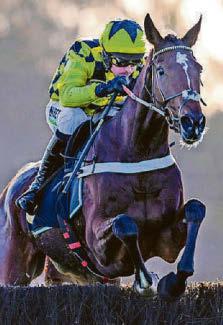 STARS UP FOR THE CHASE