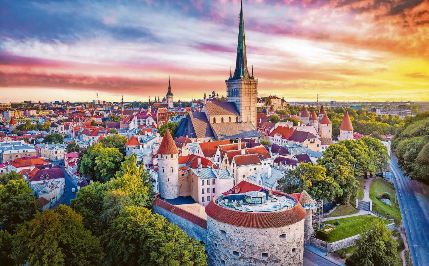 Tallinn scouted