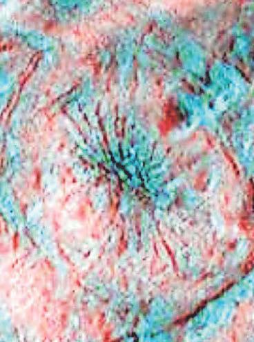 IRISH SCIENTISTS' SPIDER SENSORS..