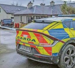 COPS ARREST 2ND SUSPECT IN HORROR ATTACK PROBE