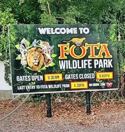 FOTA DEVELOPMENT