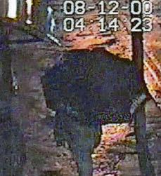 New CCTV appeal for missing Trevor