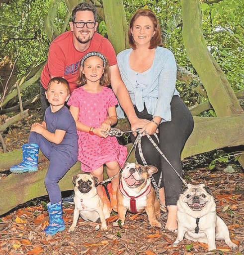 'All we want is our dogs back'