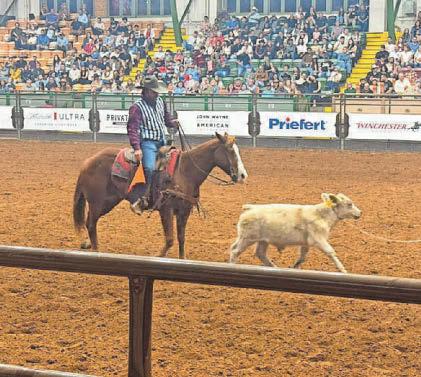 Put Lone Star State on your must-see list