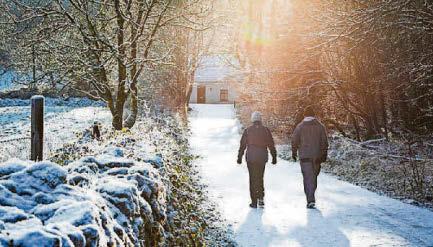 It's a winter wonderland