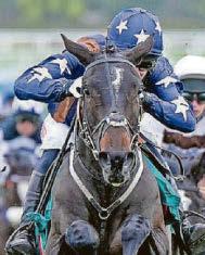 JADE'S BID FOR 3RD-TIME-LUCKY