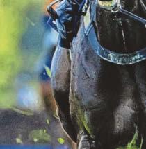 COULEURS THROWS HAIT IN THE RING FOR FESTIVAL GOLD CUP