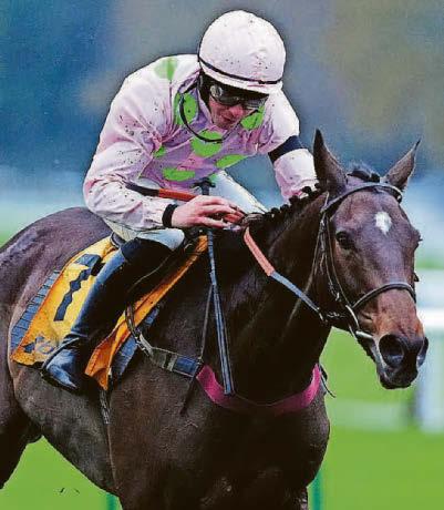 VENETIA CALLS TIME ON STABLE STAR PAGAILLE