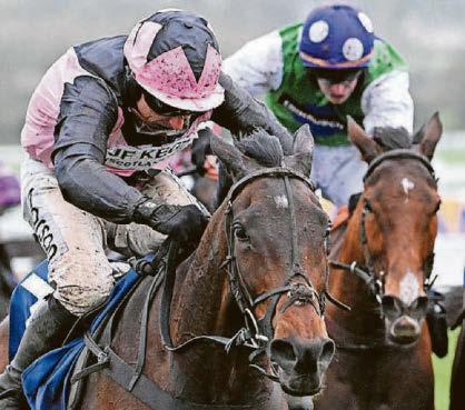 Classic hope Gewan has fatal accident in gallop