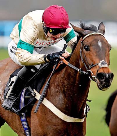 Punters root for Twig in his big bonus bid