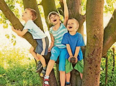 Kids back to nature in playgrounds plan