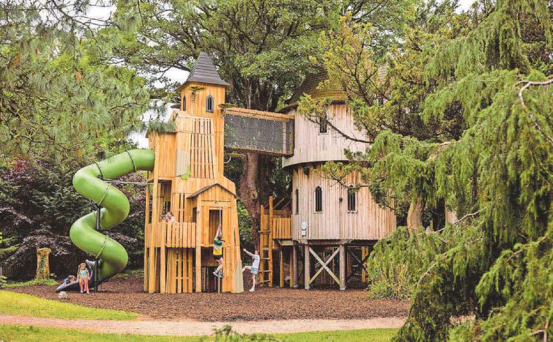 There's nothing to Birr at Ireland's tallest treehouse