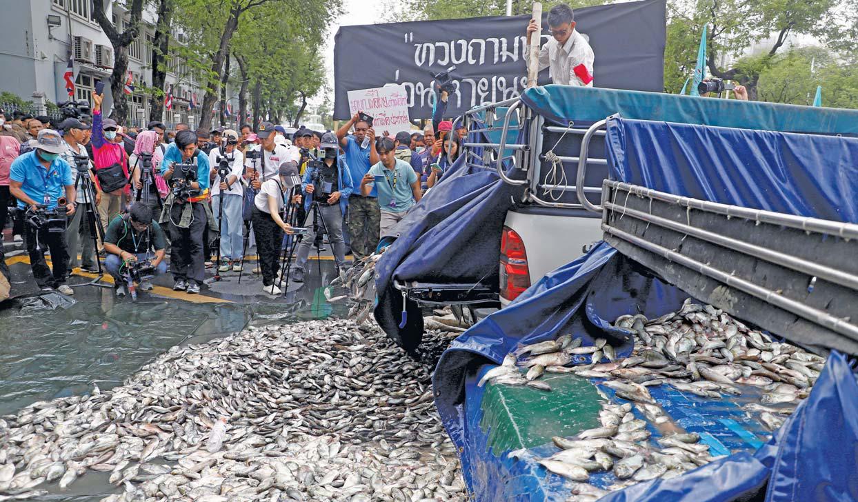 Fish crisis needs action