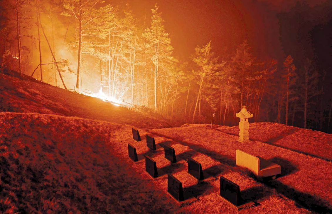 'Worst' fires kill at least 19