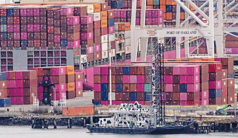 Trump's 'reciprocal tariff plan 'amplifies risk of shipping chaos'