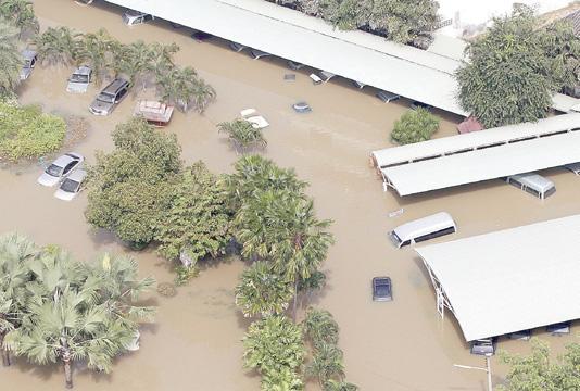 Insurers must embrace AI tools