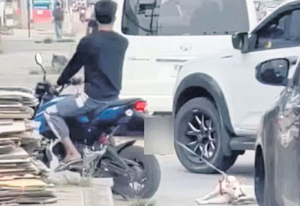 Biker fined for dragging dog in Korat