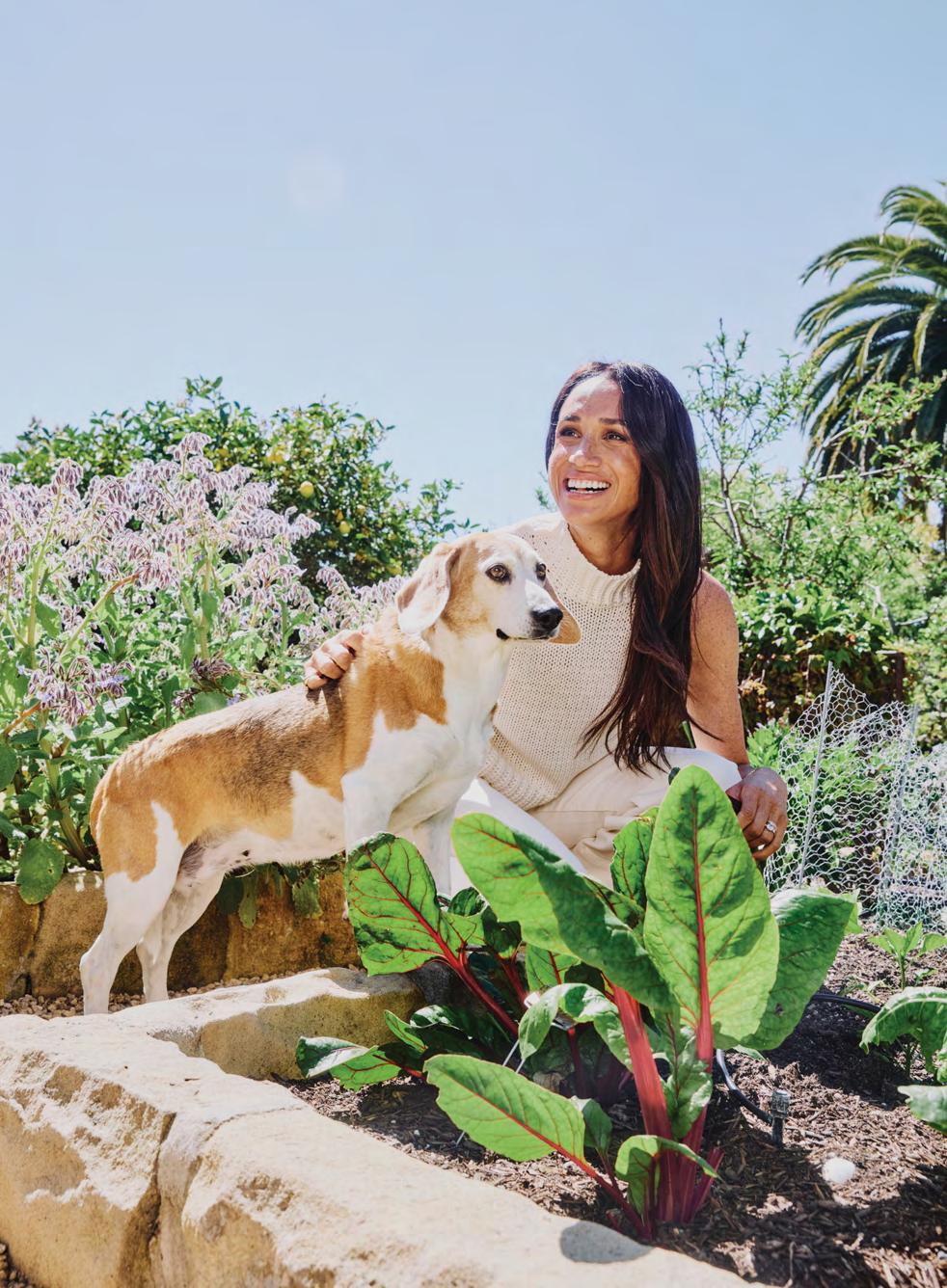 INSIDE MEGHAN'S REAL KITCHEN
