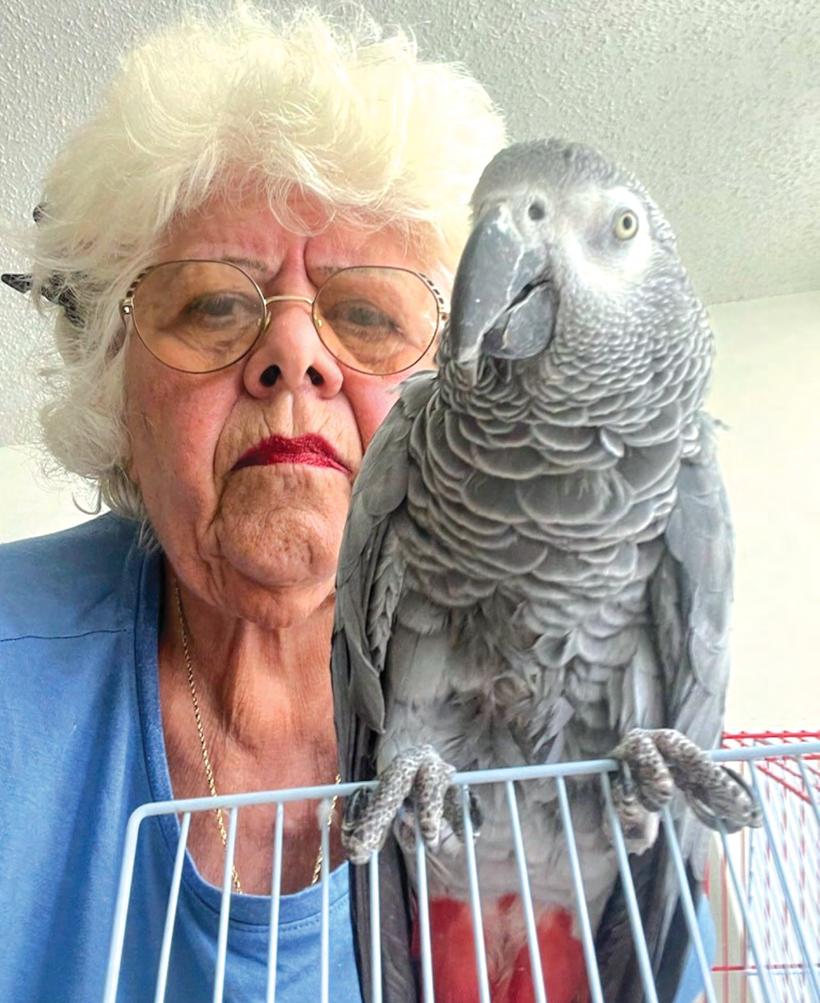 ‘Plucky’ wants a seat on that plane