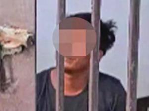 PREGNANCY SCAM BITES; HAMMOCK ATTACK; CANINE KILL