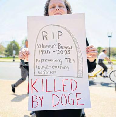 State entities too complex to be treated as startups