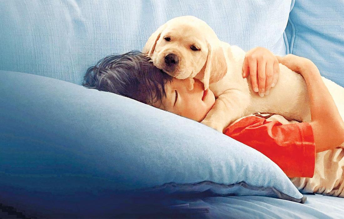 Pets is the rare documentary for children, about children