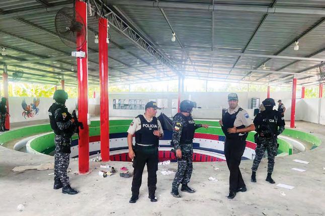 'Fake soldiers' kill 12 at cockfight in rural Ecuador