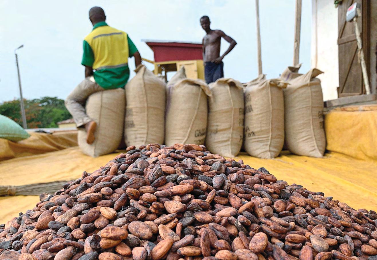 Top cocoa growers still struggle with supply