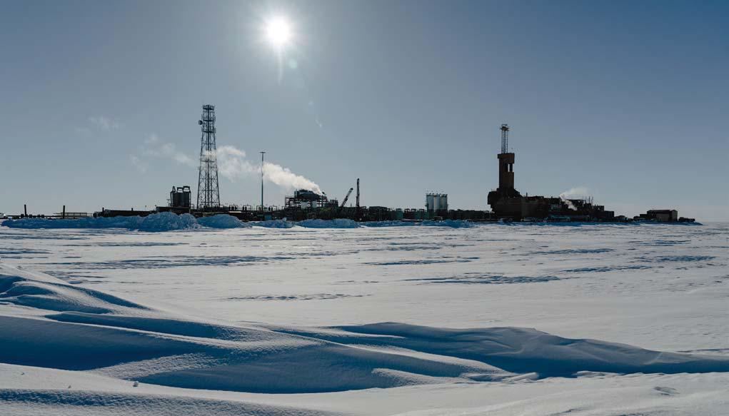 US URGES JAPAN, S KOREA TO BACK ALASKA GAS PROJECT