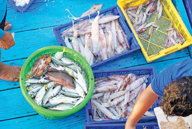 The land bridge dilemma