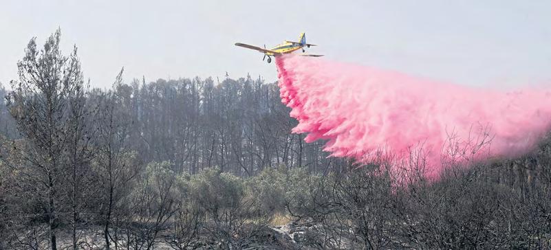 Fires 'could reach Jerusalem'