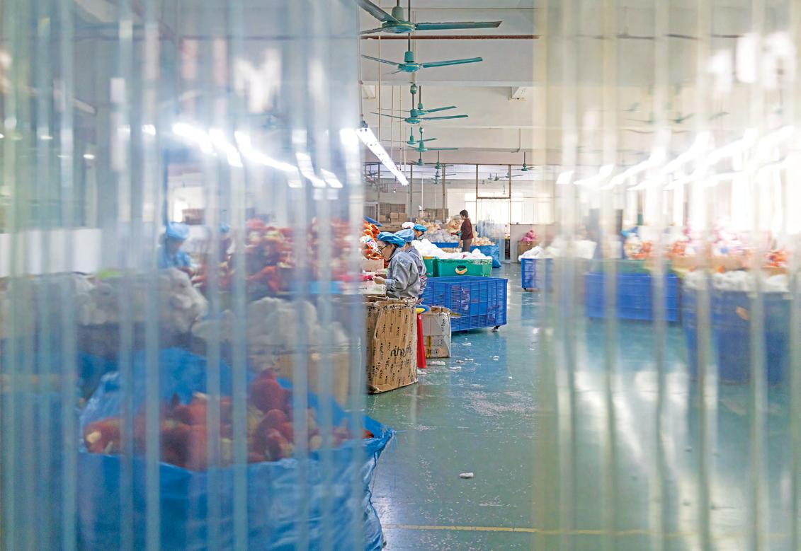 US shuts loophole, roiling online sales