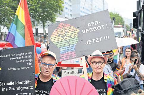 Blacklisting of AfD sparks US quarrel