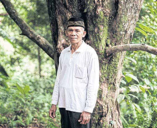 Indonesia’s cloves under threat