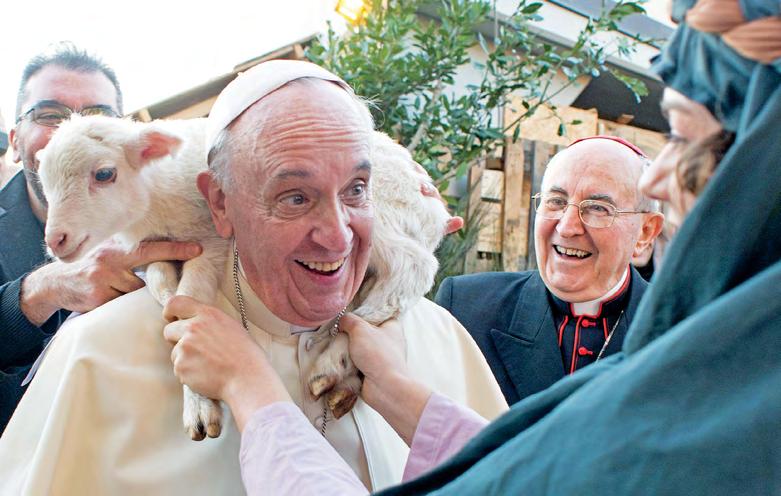 Pope Francis the shepherd on the animal kingdom