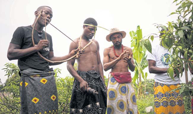 Gabon longs to cash in on sacred hallucinogenic remedy found in plant roots