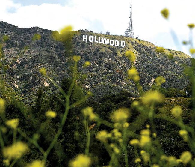 Hollywood studios, unions urge Trump to offer tax breaks
