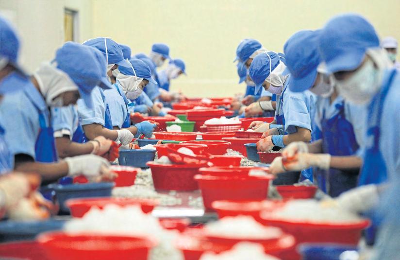Concerns over foreign 'zero-dollar' factories