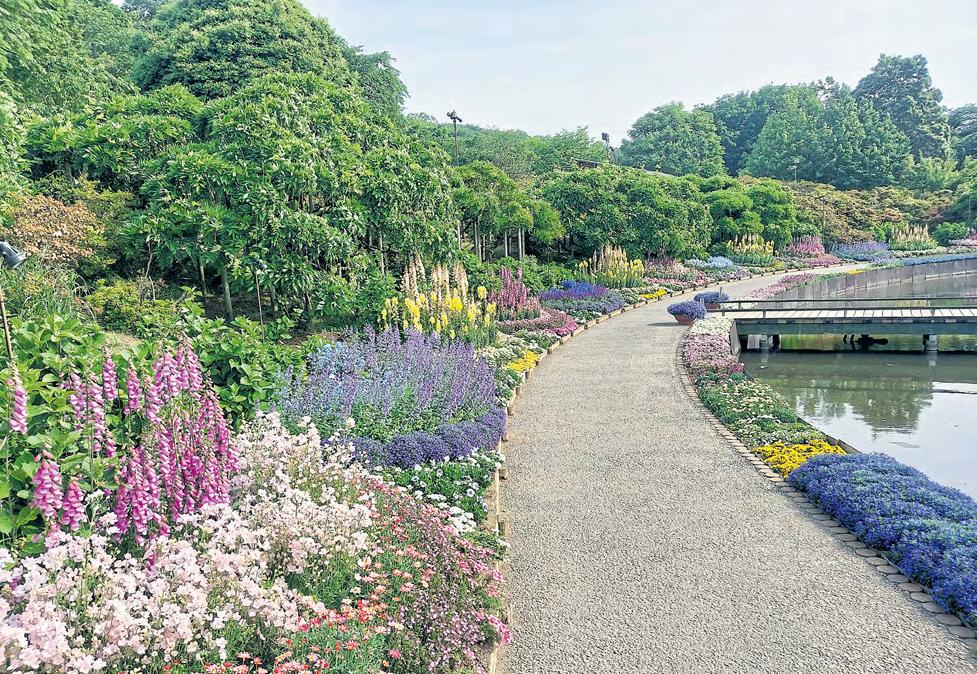 A FLORAL WONDERLAND