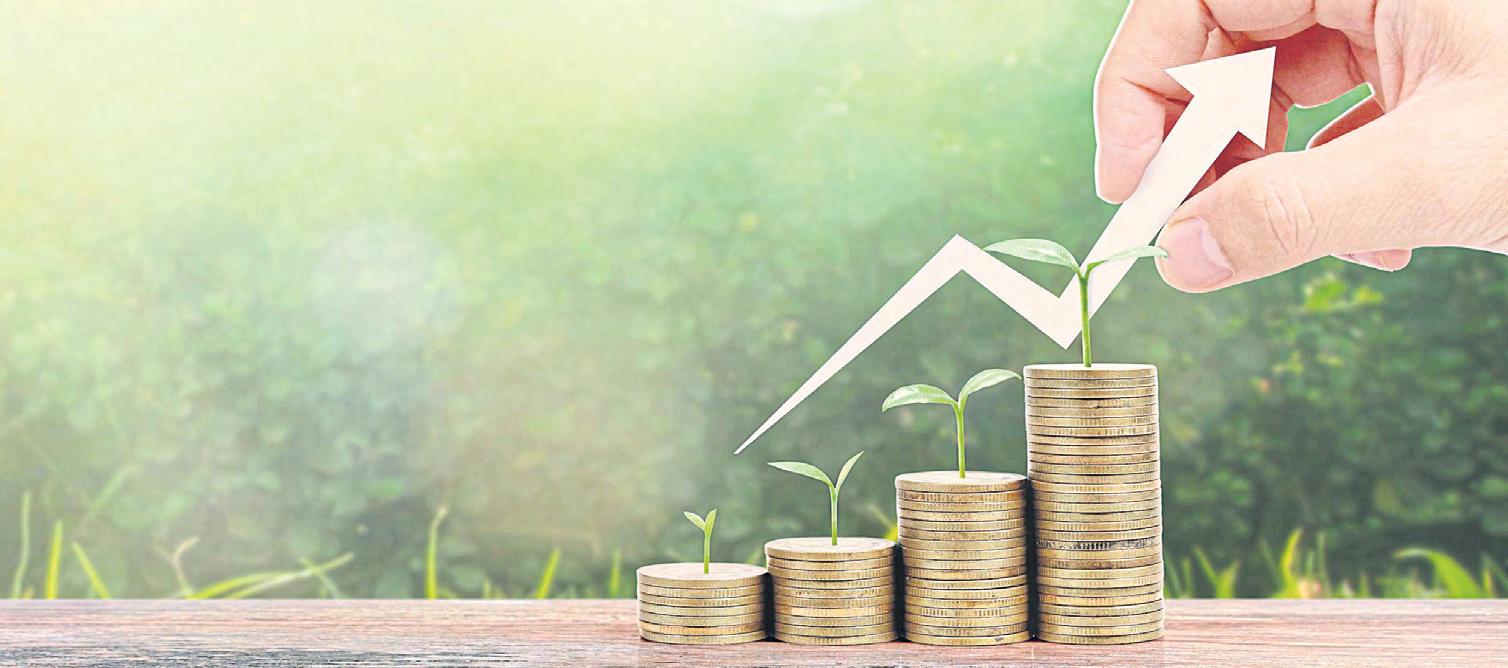 Green bonds financing the future