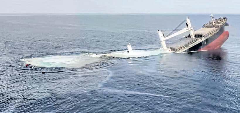 Ten rescued after Houthis sink freighter