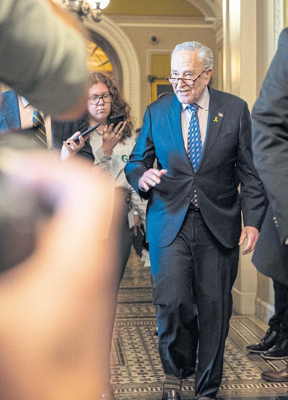 SCHUMER EXPOUNDS ON DEMOCRATS' MIDTERM HOPES