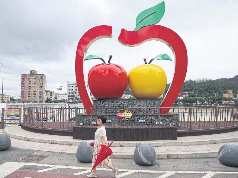 S Korea apples feel tariff heat
