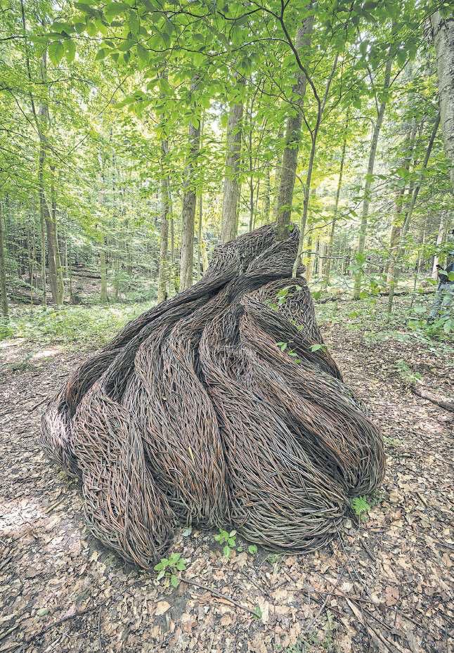 IF YOU GO DOWN TO THE WOODS