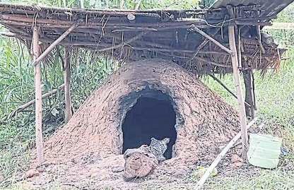 KILN DEATH; CART CAUTION; DARING SHOOT; OLD MAN'S ROW